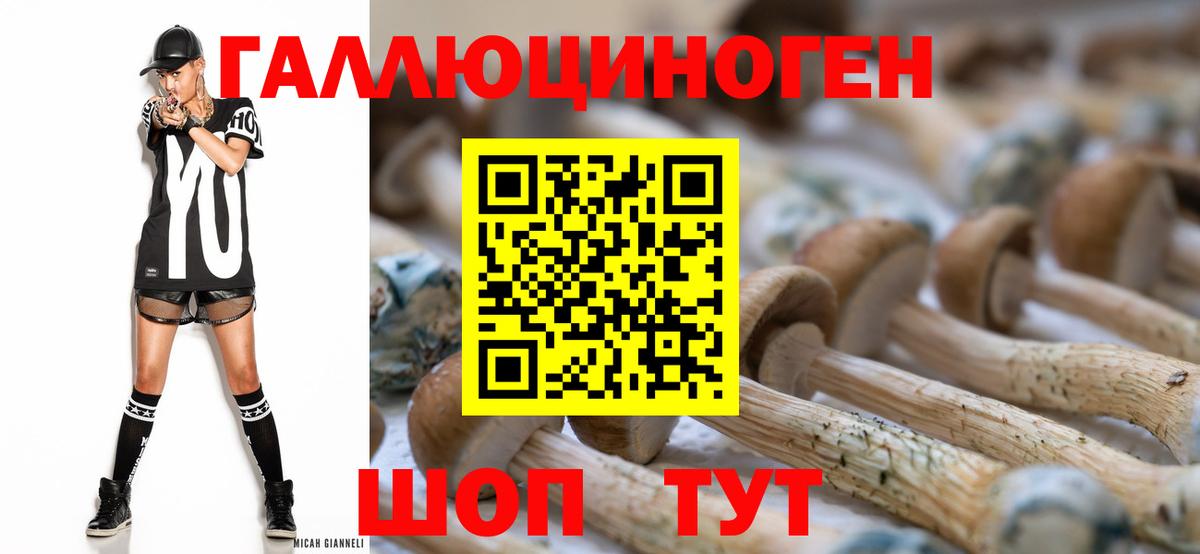 Галлюциногенные грибы Magic Shrooms Артём